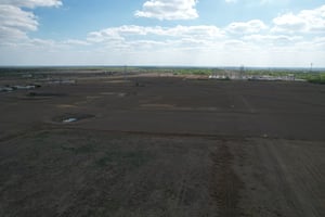 31294338