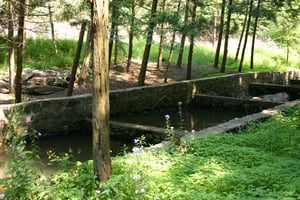 28264620