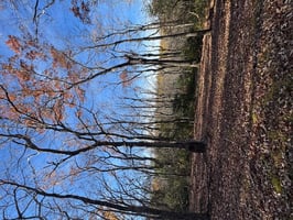 28266266