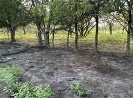 28270482