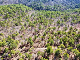 29174038