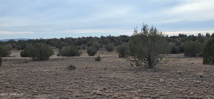 28298940