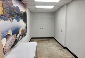 28303005