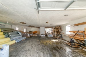 29665386