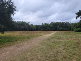 28346284