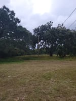 28346285