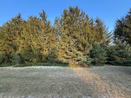 28351037