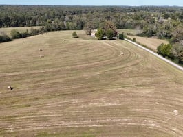 29341796
