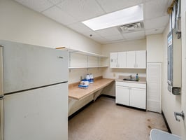 29006482