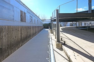 28369442