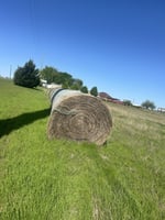 28373292