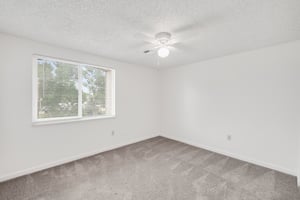 28369617