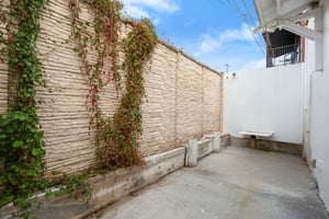 29306533