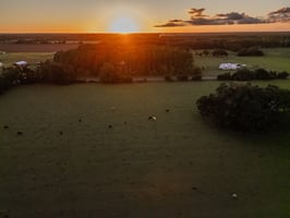 28371699