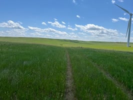 28372962