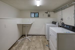 28372981