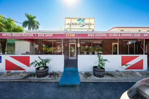 33284110