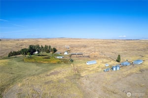 28646981