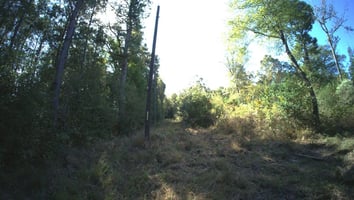 28647244