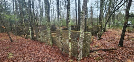 31286829
