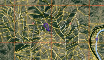 28658202
