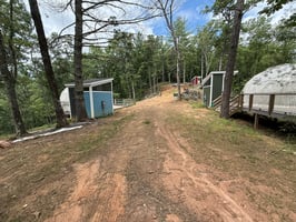 28664591