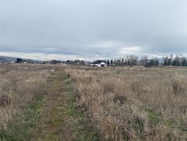 31652078