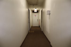 32248274
