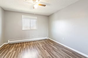 28679036