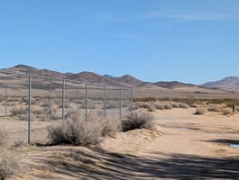 28681032