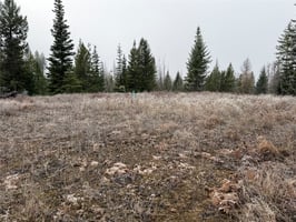 31652054