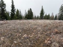 28683440