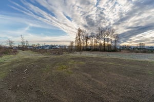 28844019