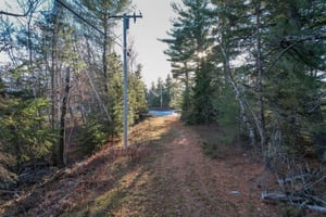 28696228