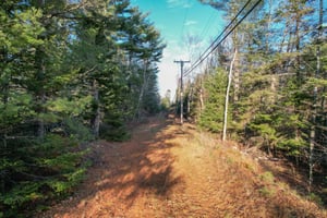 28696229
