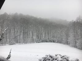 30111406