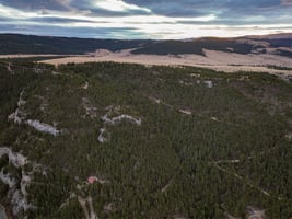 28698549