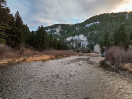 28698547