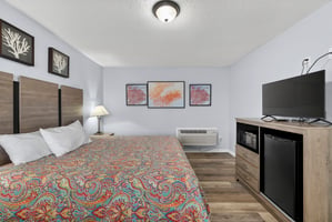 29391911