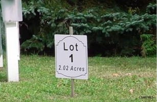 29339078