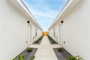 32653622