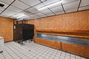 29484230