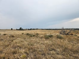 28744248