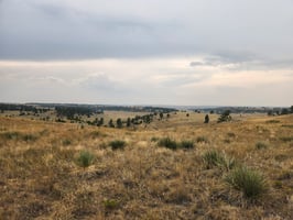 28744247