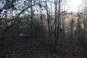 28756492