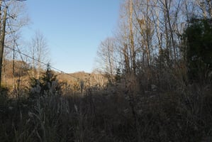 28756486