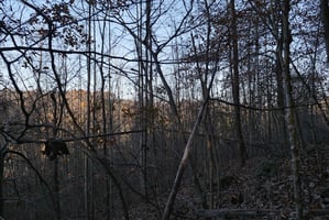 28756494