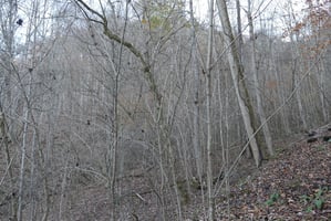 28756517
