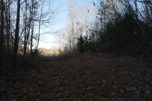 28756487