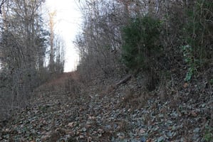 28756490